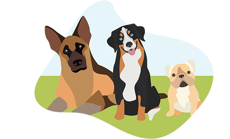 3 dogs