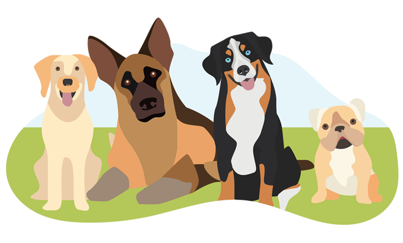 4 dogs
