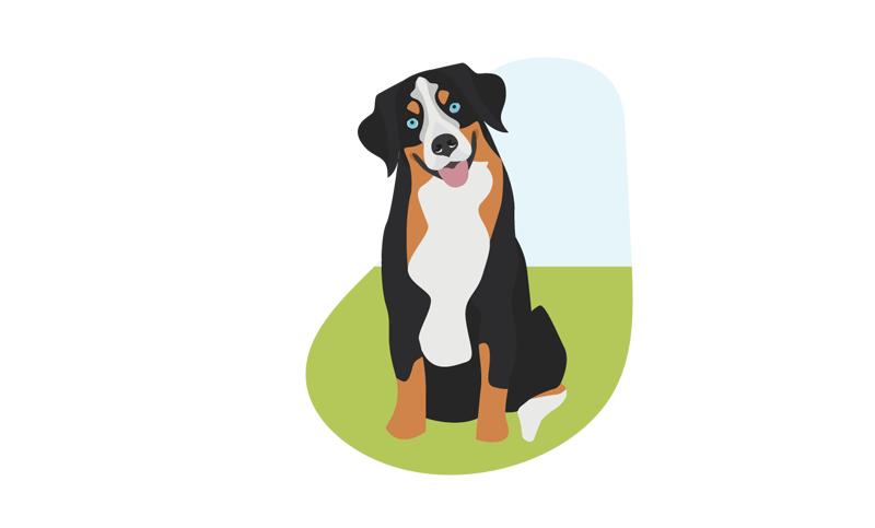 1 dog