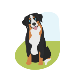 Dog Waste Removal Service in Dakota Dunes